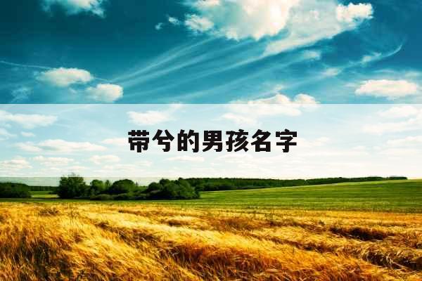带兮的男孩名字