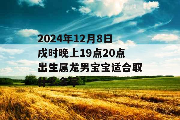 2024年12月8日戌时晚上19点20点出生属龙男宝宝适合取什么名字