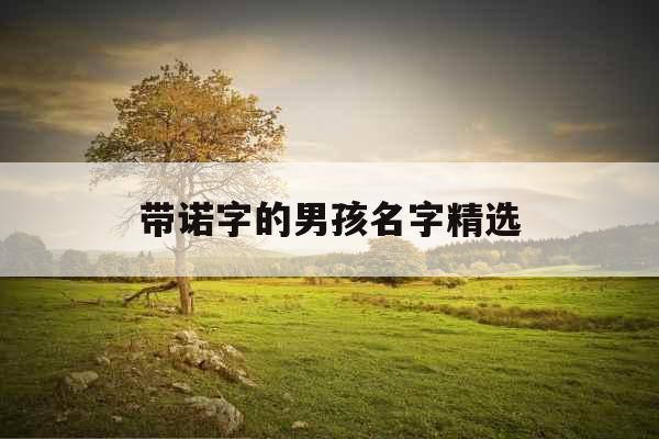 带诺字的男孩名字精选