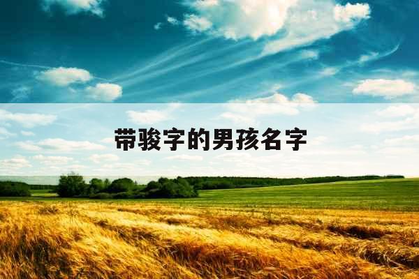 带骏字的男孩名字 带骏字的男孩名字