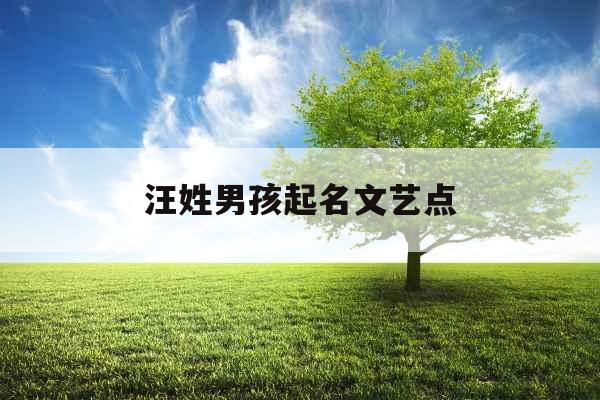汪姓男孩起名文艺点