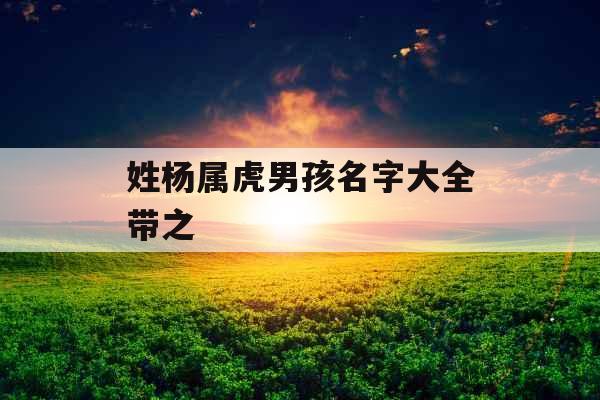 姓杨属虎男孩名字大全带之