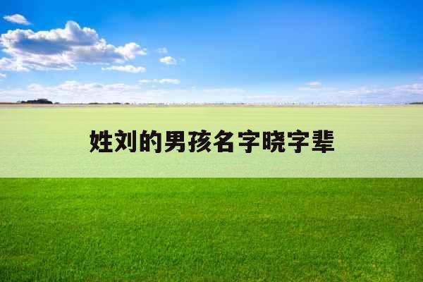 姓刘的男孩名字晓字辈