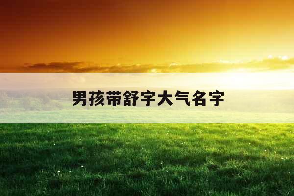 男孩带舒字大气名字 男孩带舒字大气名字