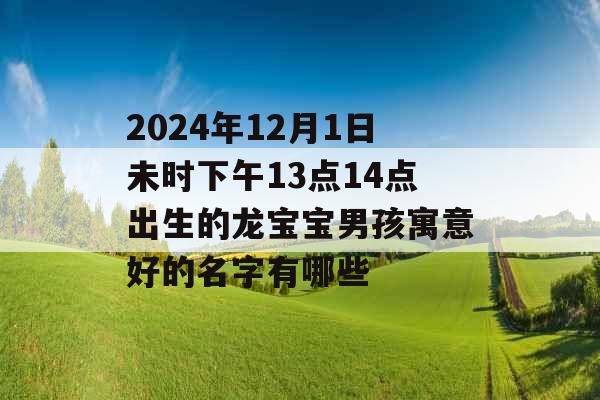 2024年12月1日未时下午13点14点出生的龙宝宝男孩寓意好的名字有哪些