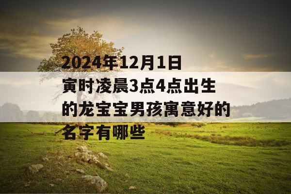 2024年12月1日寅时凌晨3点4点出生的龙宝宝男孩寓意好的名字有哪些