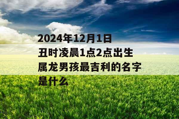 2024年12月1日丑时凌晨1点2点出生属龙男孩最吉利的名字是什么