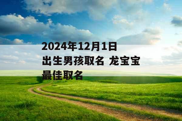 2024年12月1日出生男孩取名 龙宝宝最佳取名