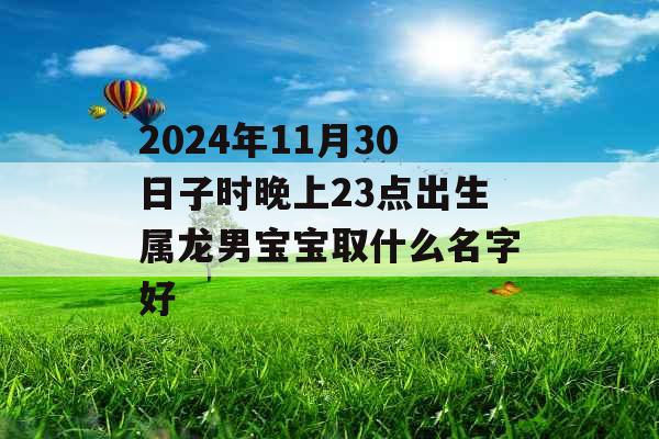 2024年11月30日子时晚上23点出生属龙男宝宝取什么名字好