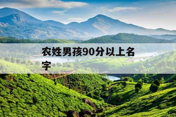 农姓男孩90分以上名字