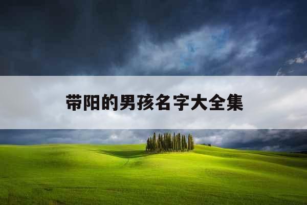 带阳的男孩名字大全集