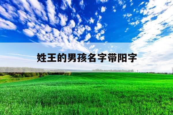 姓王的男孩名字带阳字 姓王的男孩名字带阳字