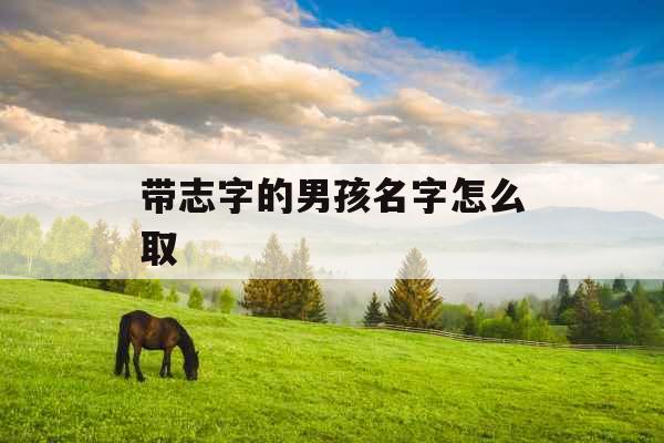 带志字的男孩名字怎么取