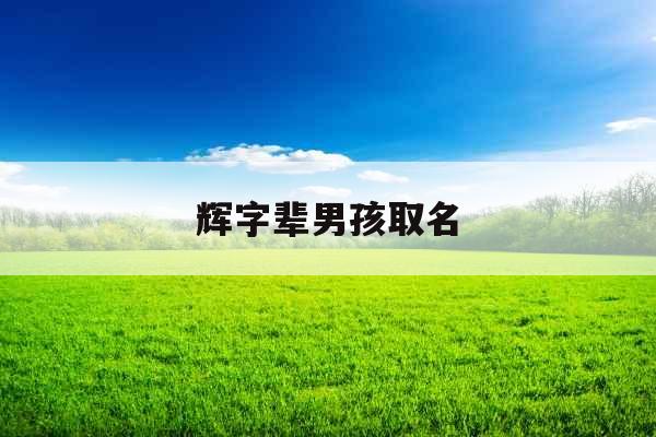 辉字辈男孩取名