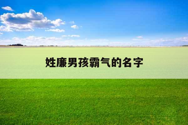 姓廉男孩霸气的名字