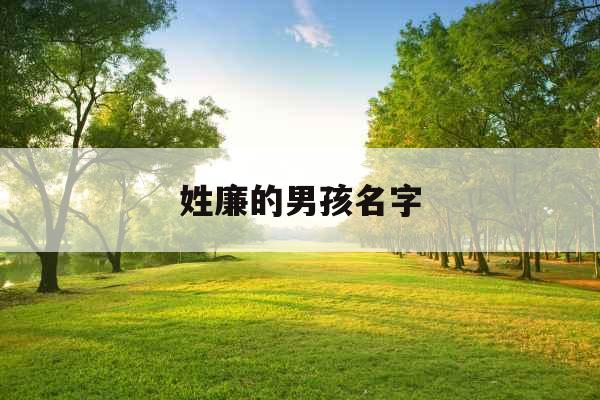 姓廉的男孩名字