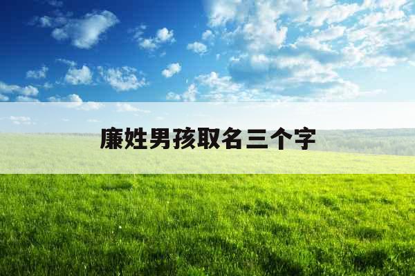 廉姓男孩取名三个字
