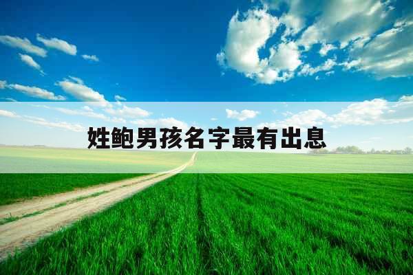 姓鲍男孩名字最有出息