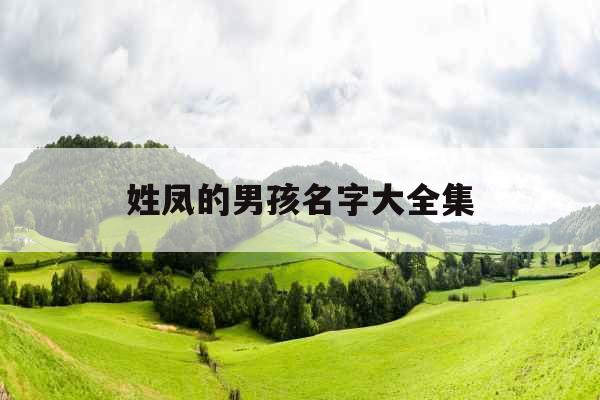 姓凤的男孩名字大全集