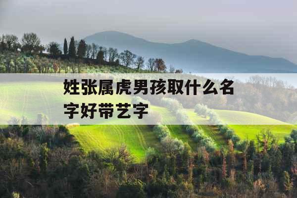 姓张属虎男孩取什么名字好带艺字 姓张属虎男孩取什么名字好带艺字