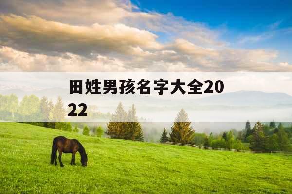 田姓男孩名字大全2022 田姓男孩名字大全2022
