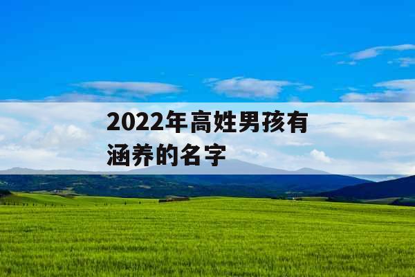 2022年高姓男孩有涵养的名字