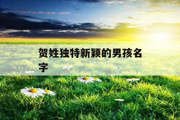 贺姓独特新颖的男孩名字