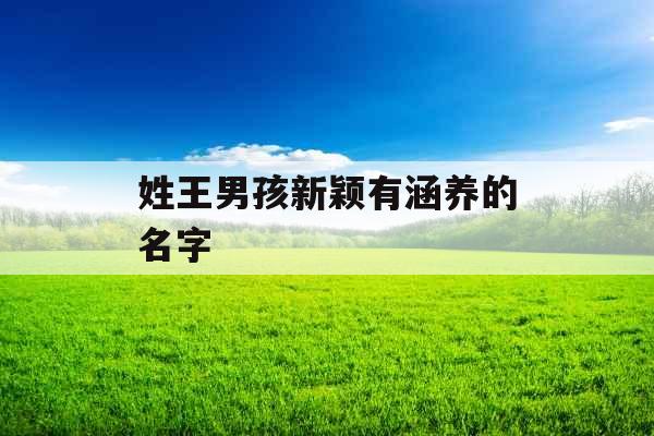 姓王男孩新颖有涵养的名字