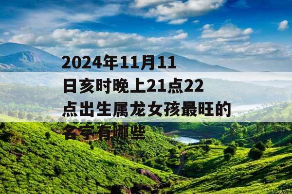 2024年11月11日亥时晚上21点22点出生属龙女孩最旺的名字有哪些