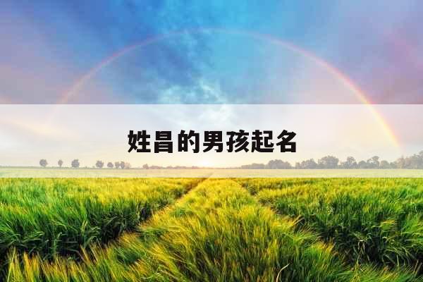 姓昌的男孩起名