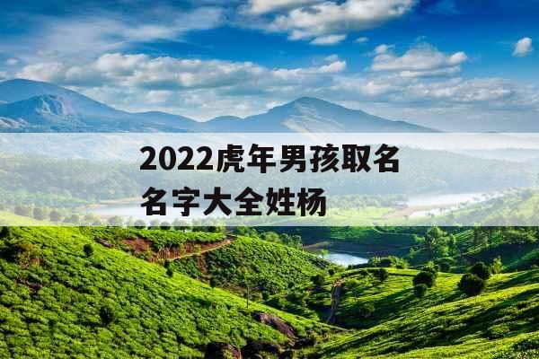 2022虎年男孩取名名字大全姓杨