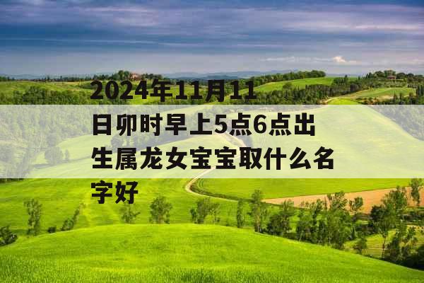 2024年11月11日卯时早上5点6点出生属龙女宝宝取什么名字好 2024年11月11日卯时早上5点6点出生属龙女宝宝取什么名字好