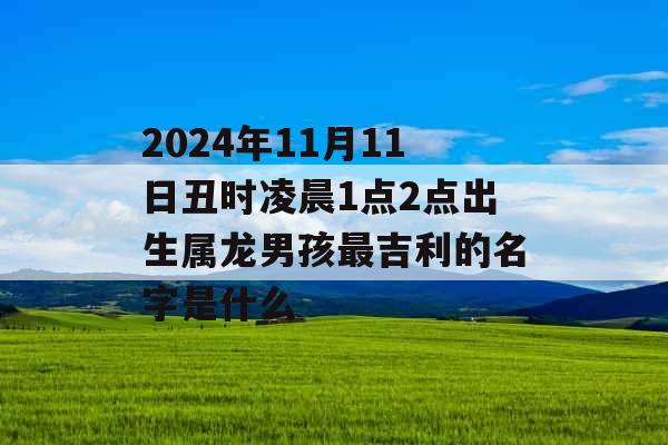 2024年11月11日丑时凌晨1点2点出生属龙男孩最吉利的名字是什么 2024年11月11日丑时凌晨1点2点出生属龙男孩最吉利的名字是什么