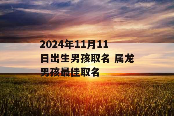 2024年11月11日出生男孩取名 属龙男孩最佳取名 2024年11月11日出生男孩取名 属龙男孩最佳取名
