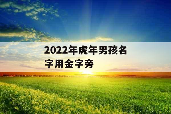 2022年虎年男孩名字用金字旁