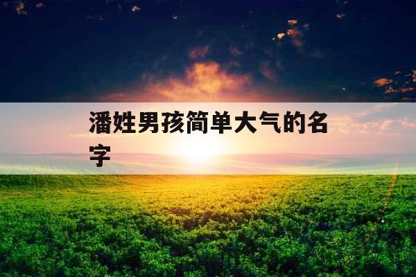 潘姓男孩简单大气的名字 潘姓男孩简单大气的名字