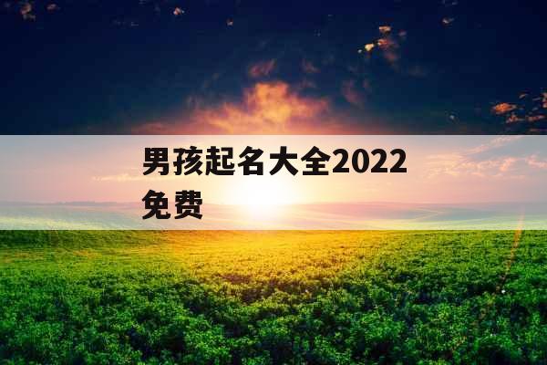 男孩起名大全2022免费 男孩起名大全2022免费