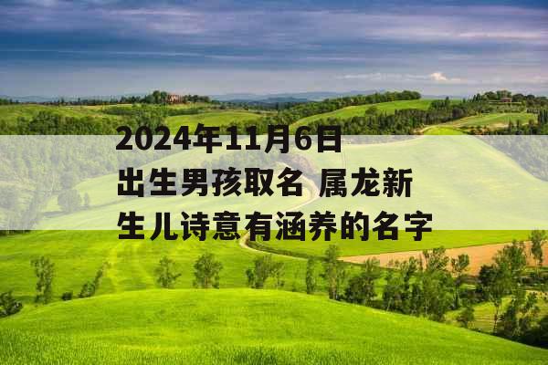 2024年11月6日出生男孩取名 属龙新生儿诗意有涵养的名字 2024年11月6日出生男孩取名 属龙新生儿诗意有涵养的名字