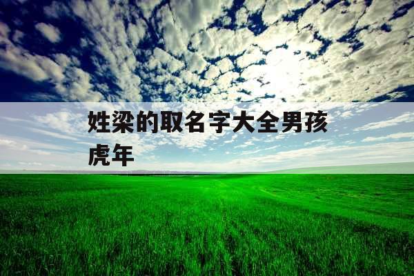 姓梁的取名字大全男孩虎年 姓梁的取名字大全男孩虎年