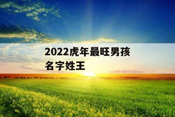 2022虎年最旺男孩名字姓王 2022虎年最旺男孩名字姓王