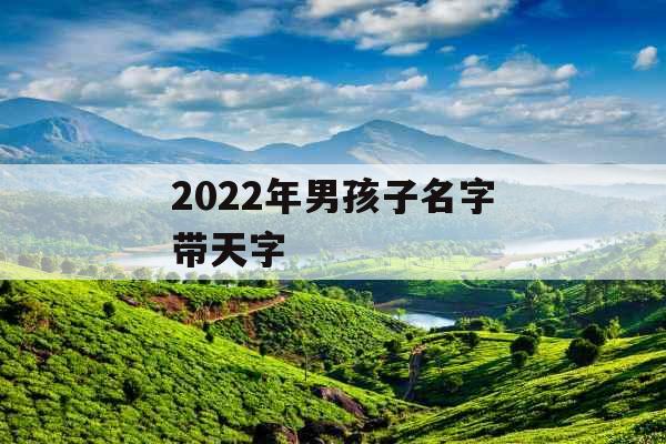 2022年男孩子名字带天字 2022年男孩子名字带天字