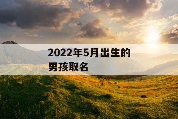 2022年5月出生的男孩取名