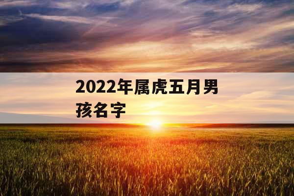 2022年属虎五月男孩名字