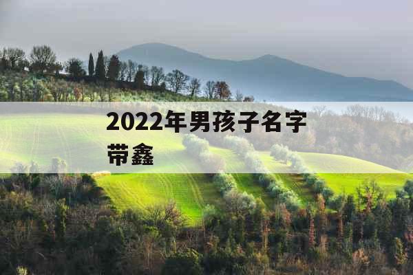 2022年男孩子名字带鑫