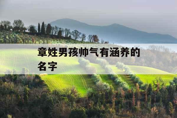 章姓男孩帅气有涵养的名字