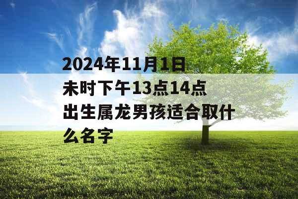 2024年11月1日未时下午13点14点出生属龙男孩适合取什么名字