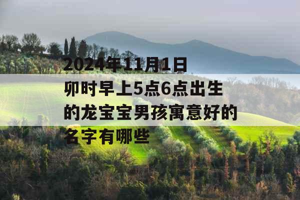 2024年11月1日卯时早上5点6点出生的龙宝宝男孩寓意好的名字有哪些