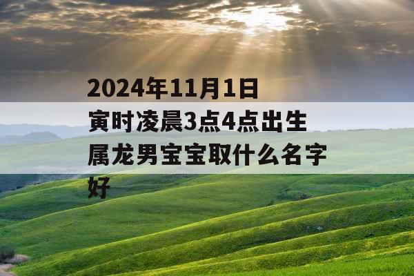 2024年11月1日寅时凌晨3点4点出生属龙男宝宝取什么名字好