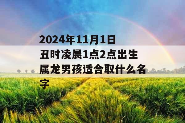 2024年11月1日丑时凌晨1点2点出生属龙男孩适合取什么名字