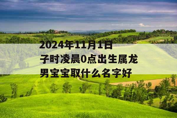 2024年11月1日子时凌晨0点出生属龙男宝宝取什么名字好